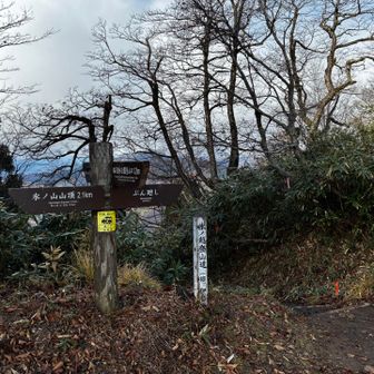 ちょっと曇ってきました