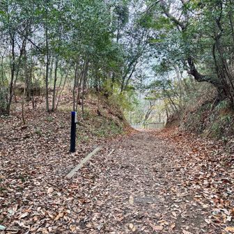 目的①あまの街道沿いにピークがあります🚩