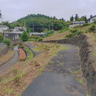 巾着田周辺は🅿️500円なんでケチっていつもの無料🅿️から😎