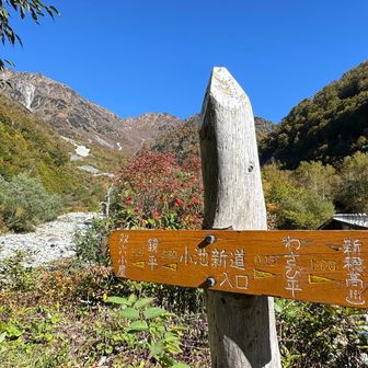 小池新道 到着