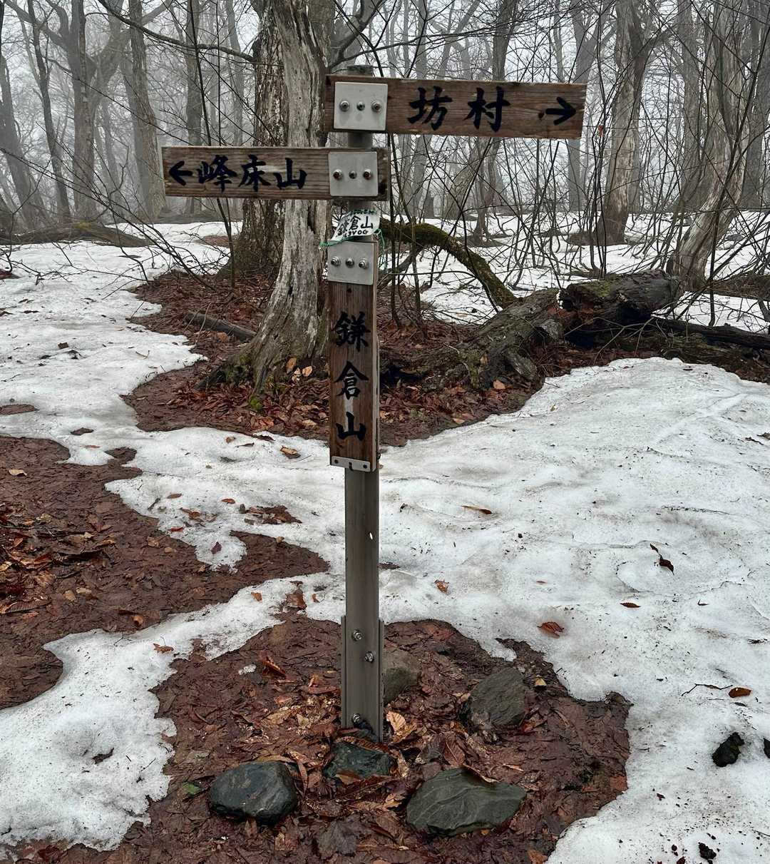 鎌倉山🙌　