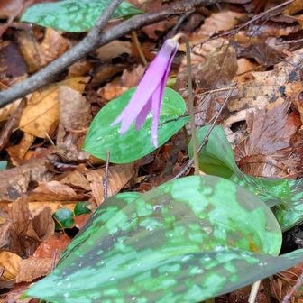 縮こまってます