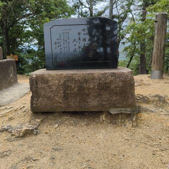世の陽土　背負う路な
人の道

ショットミス、影有り🙏
