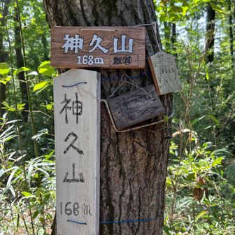 神久(しんきゅう)山　4個目のピーク　ここも展望なし