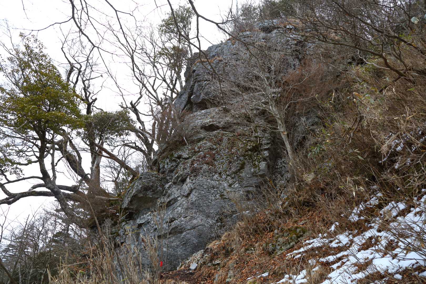 岩宇土山登山口-岩宇土山-上福根山 周回コースの写真