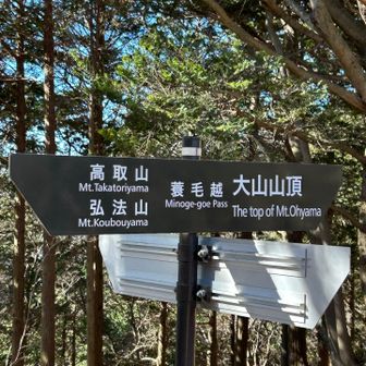 蓑毛越の十字路、蓑毛から裏街道で下社に行くこともできる