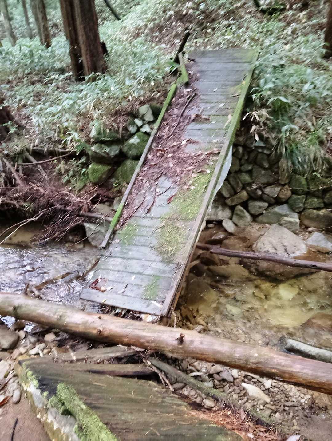 おーーい😭