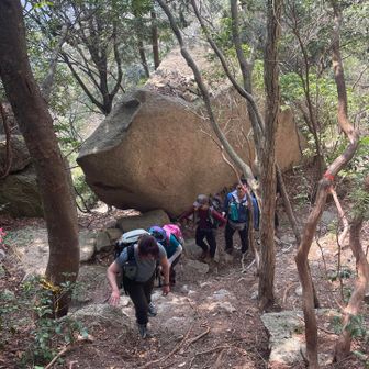 大きな岩が🪨出てきた