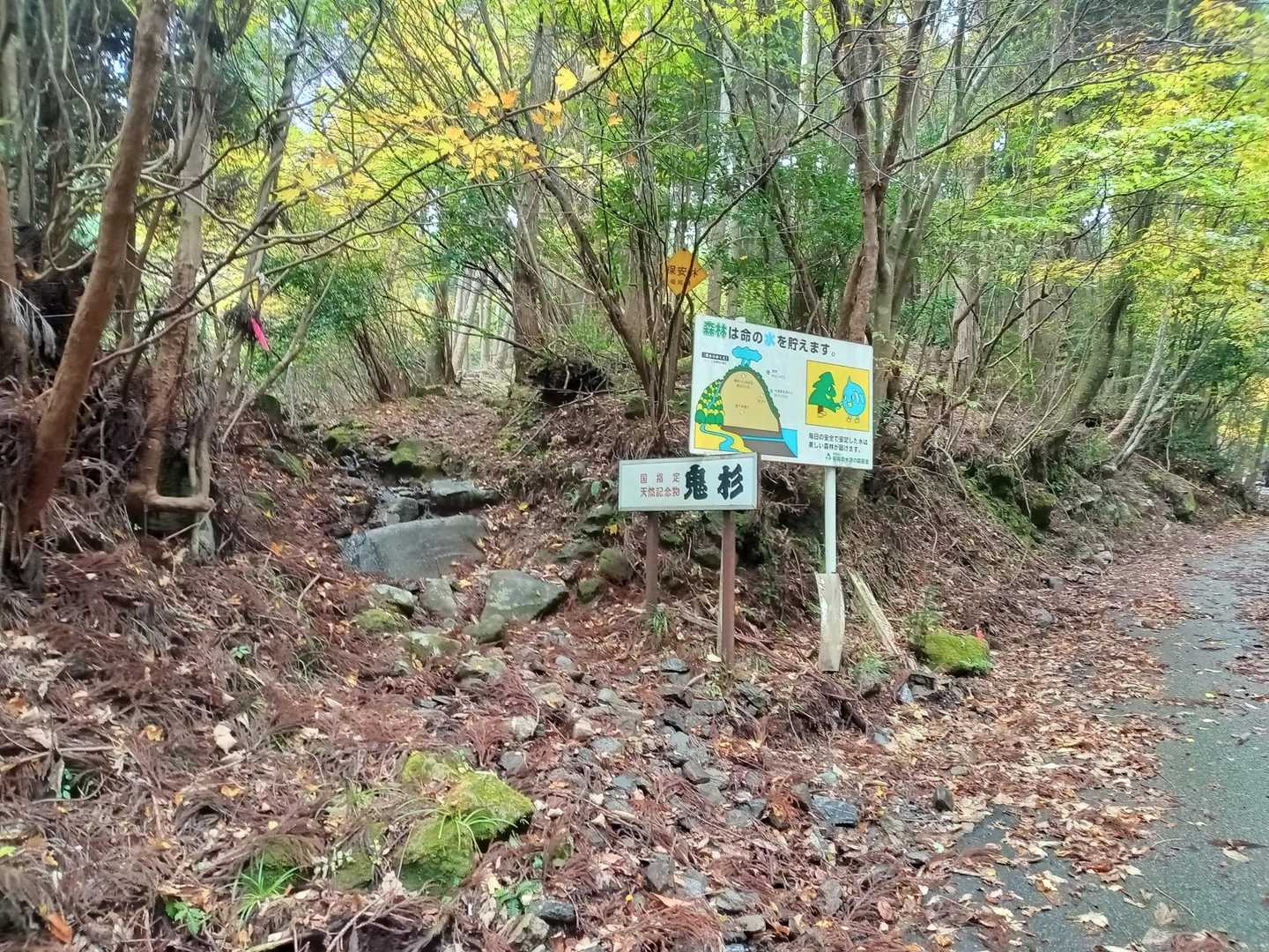 帰りは､鬼杉の登り口まで来ました