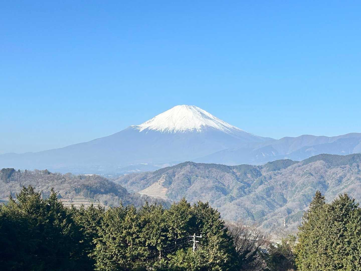 続いては大野山へいきますょ