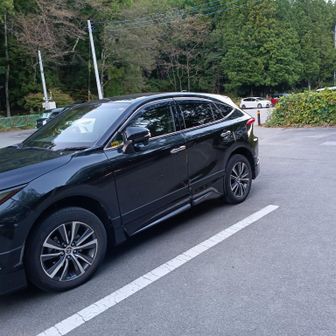 なんとか17時、日没サスペンデッド前に帰ってこれました🌸