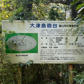気を取り直して、軽く突っ込んでいくと砲台跡の看板あり。この辺が山頂かな？