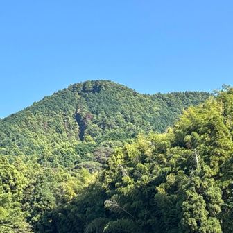 小野公園側から城の山（薦野城跡）を見上げる