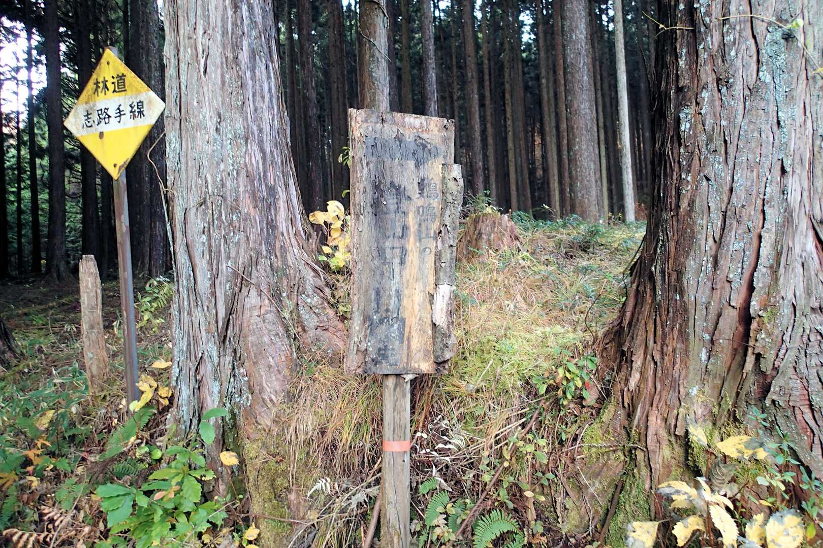 ニュアンスだけは伝わッて来る看板🪧