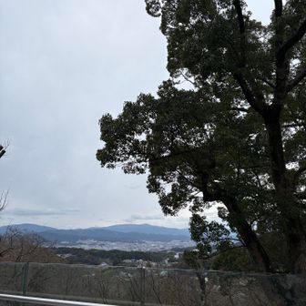 寒かったからか展望デッキは少なかった〜