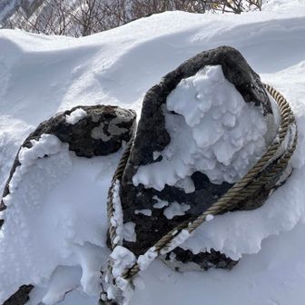 でも岩に浅く引っ掛けてるだけだ
ずり上がって取れるんじゃね？