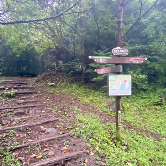 長者ヶ岳登山口駐車場からスタート