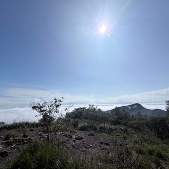 見事な雲海☁️山頂から見える山を登りたくなるのなんでだろう🥺