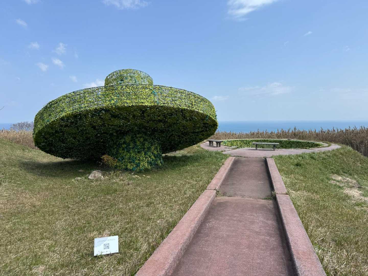 アートみたいでしたが…