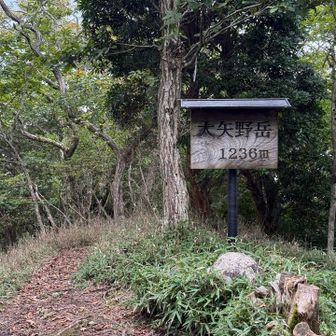 タマゴタケあるの情報頂きまして
さぁ〜、探しに行こう🎶