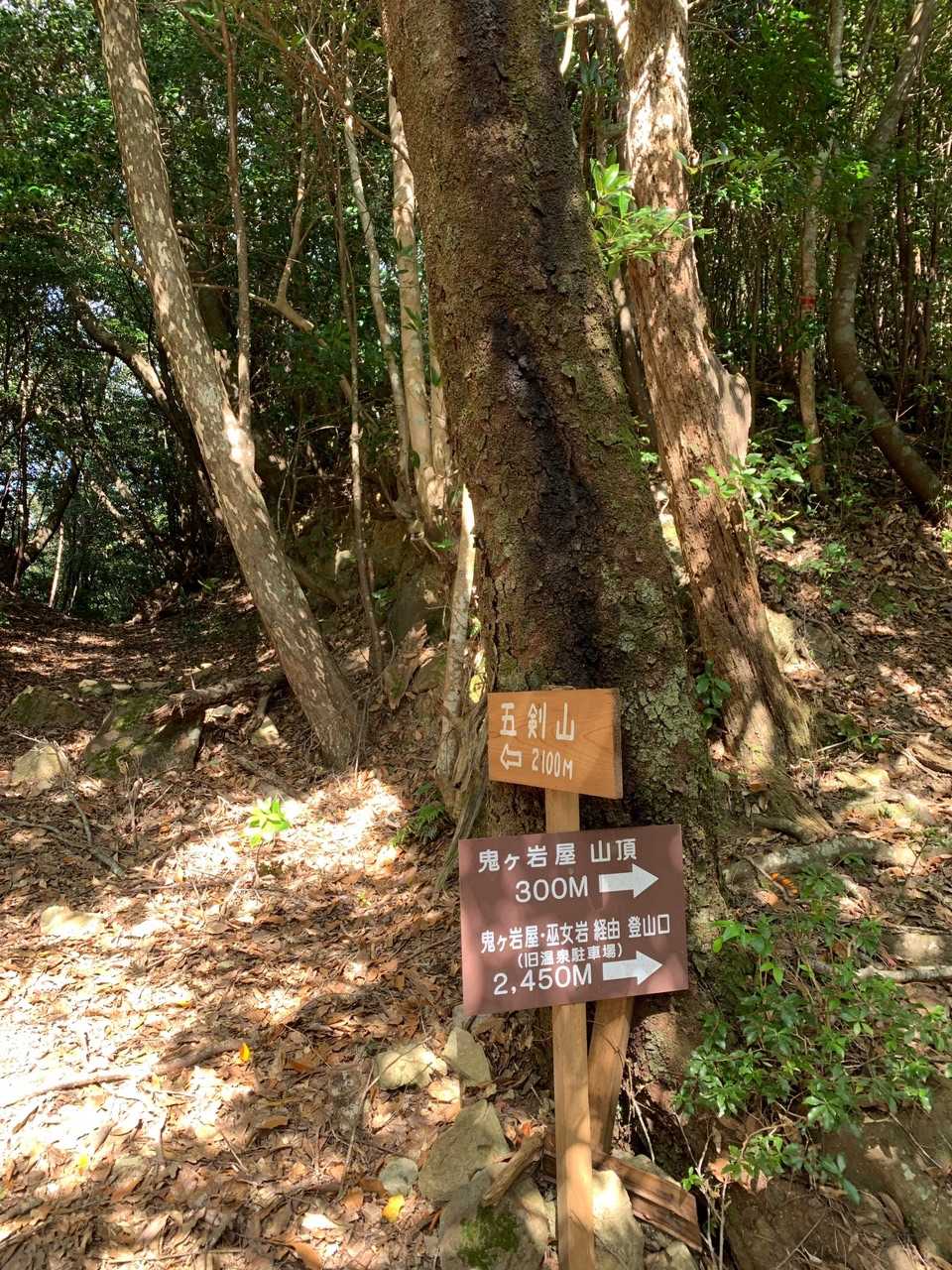 五剣山 往復コースの写真