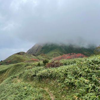 越前三ノ峰も行けたと思うし下山します