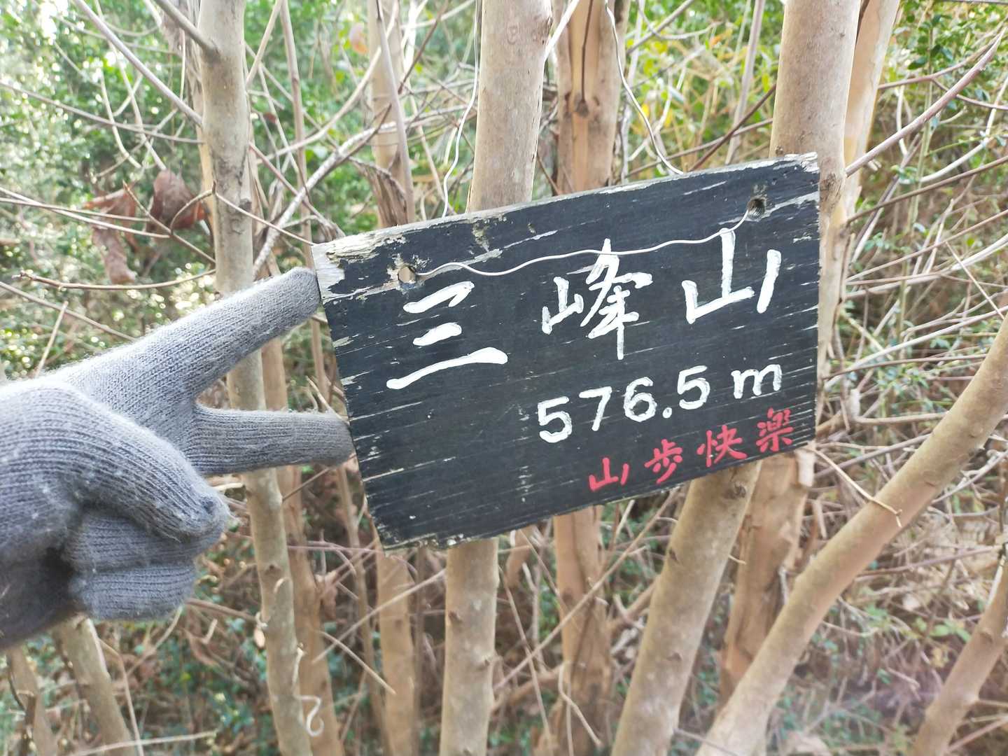 三峯山登頂！
奈良にある三峯山とは異なる達成感！