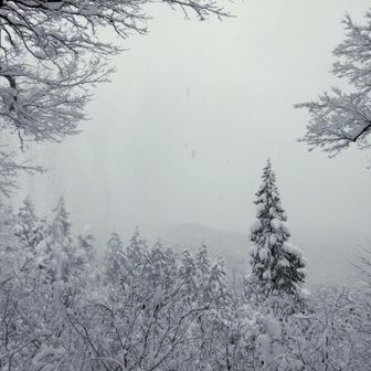 山頂からの眺めは…真っ白😅