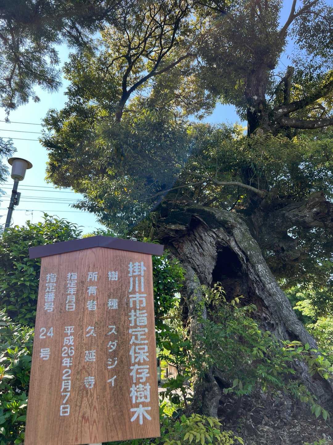 火剣山 往復コースの写真