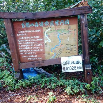 で、通過点のような当間山山頂。