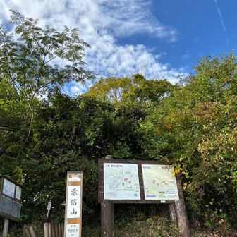 T:ezy（ﾃｼﾞｰ）