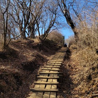 新大日から木ノ又小屋へ向かう。
途中で声をかけられて振り向くと、まさかの人物だった。