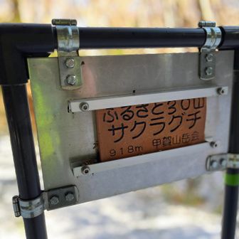 サクラグチ到着
ここも眺望ナシ