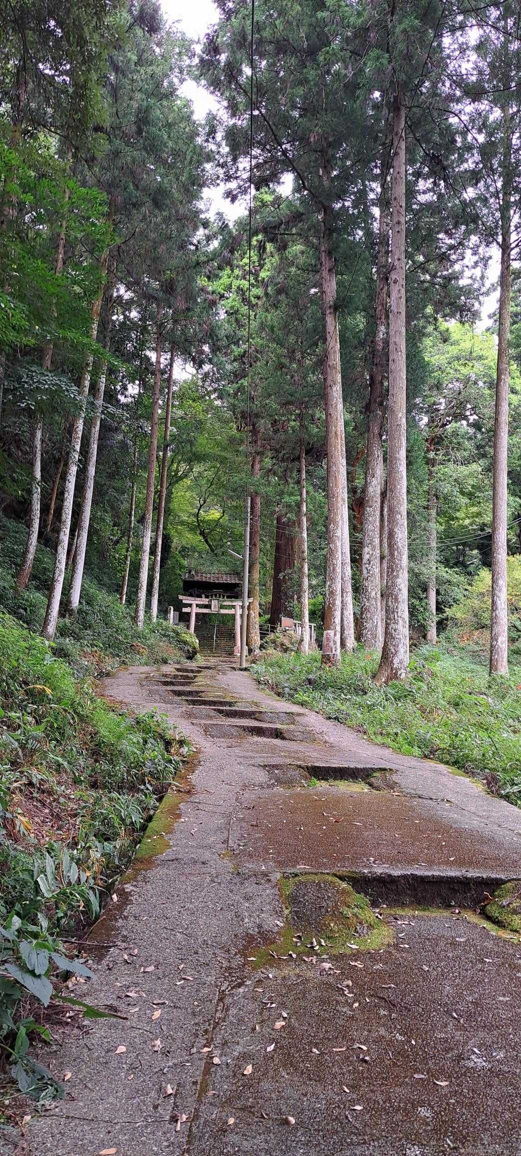 今にも、歩雨が降りそうです😓