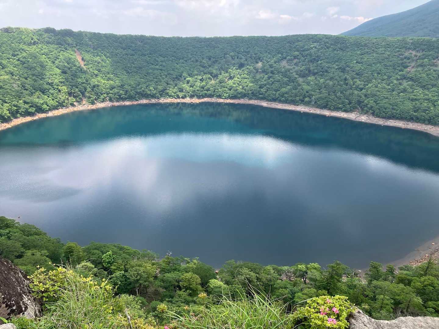 美しい！このブルーを何回も見てしまう。