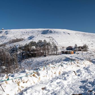 『車山の肩』にやっと到着、左の林の中に『コロボックルヒュッテ』真ん中にバイオトイレ。