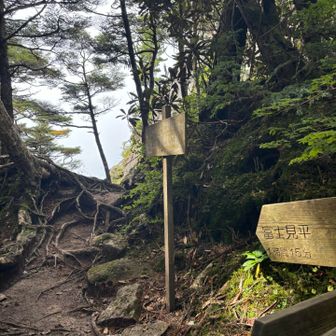やっと登ってきました。頂上はあと少し