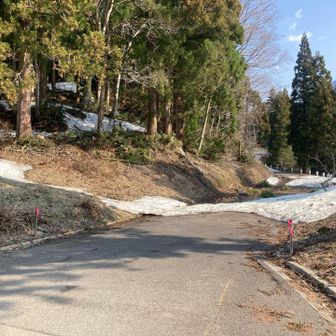 戸倉山冬季登山口に駐車して、スタートします。