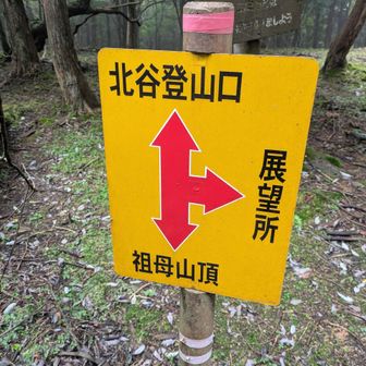 展望所も行かず
行っても何も見えない