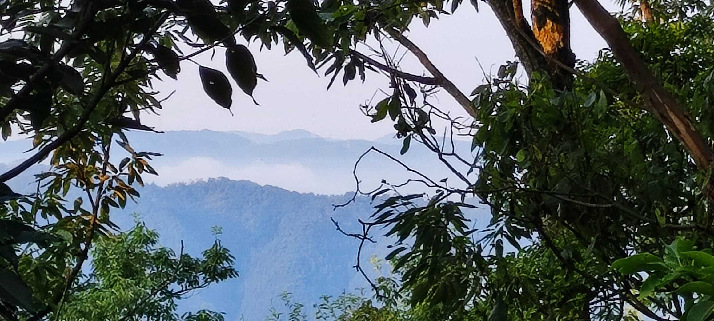 プチ雲海