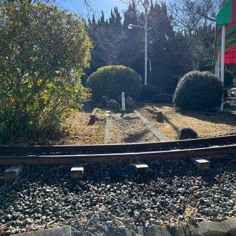 🐈いないなぁ😆