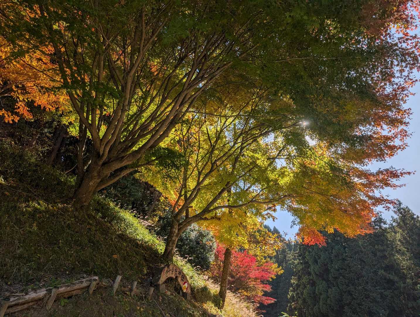音羽山 往復コースの写真