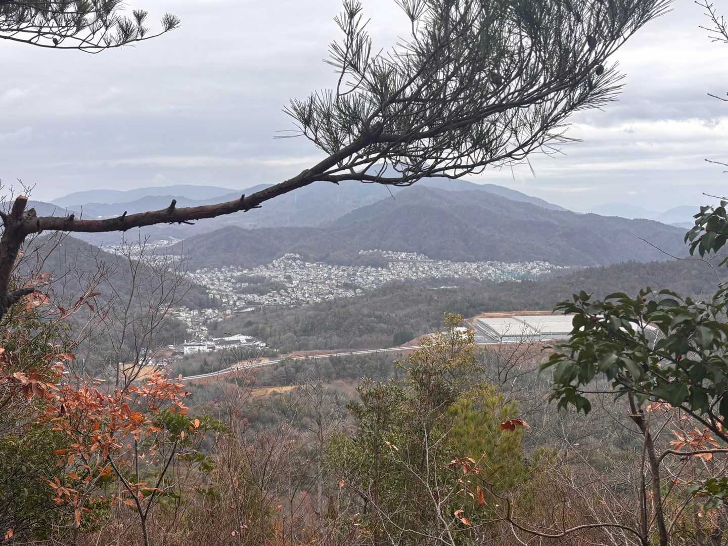 ここからはどこが見えてるんだ？
焼山方面かな？
この辺の土地勘が全く分からない🤦‍♀️