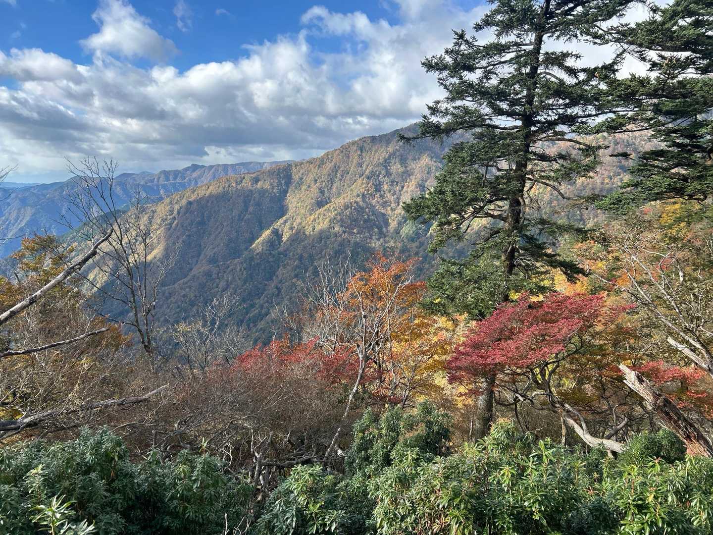 八紘嶺（梅ヶ島）の写真