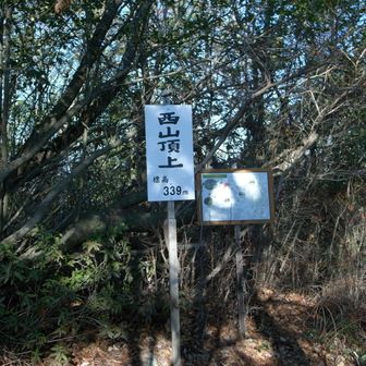 ここでおやつタイム