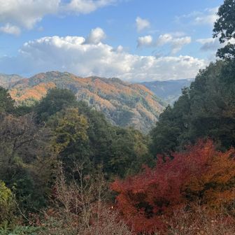 遠くの山の紅葉が美しい🧡