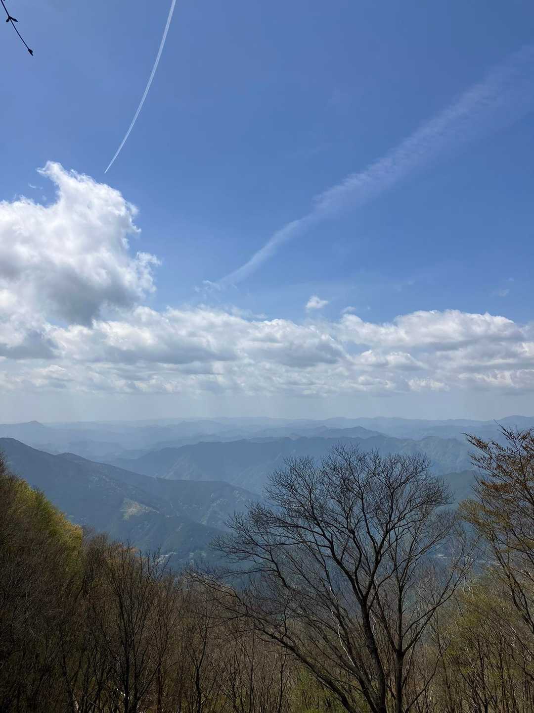 平和登山口-竜頭山 往復コースの写真