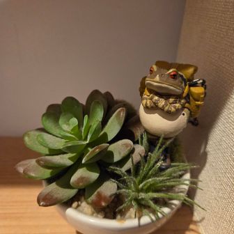 ヤマD