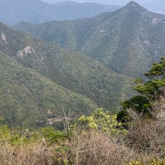 槍が見えてる。まだまだ遠い。