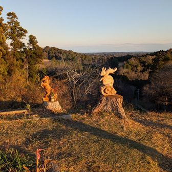 こんなのあったっけ？